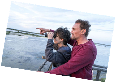 Image en ligne Image en ligne