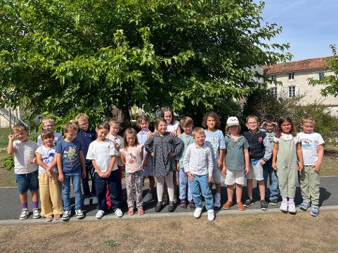 Image en ligne